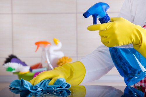 Cleaning service terms and conditions document illustration