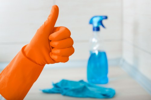 Cleaner maintaining a flat in Fulham or Parsons Green