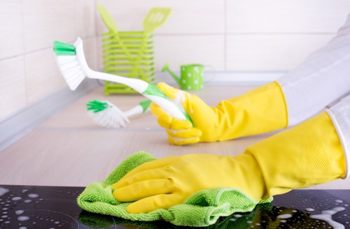 Pet stain and odour removal equipment ready for a local SW6 property
