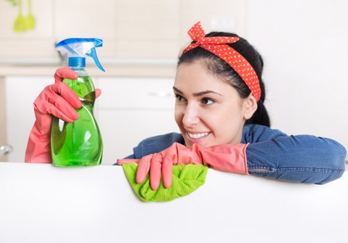 Cleaning a modern apartment kitchen in SW6